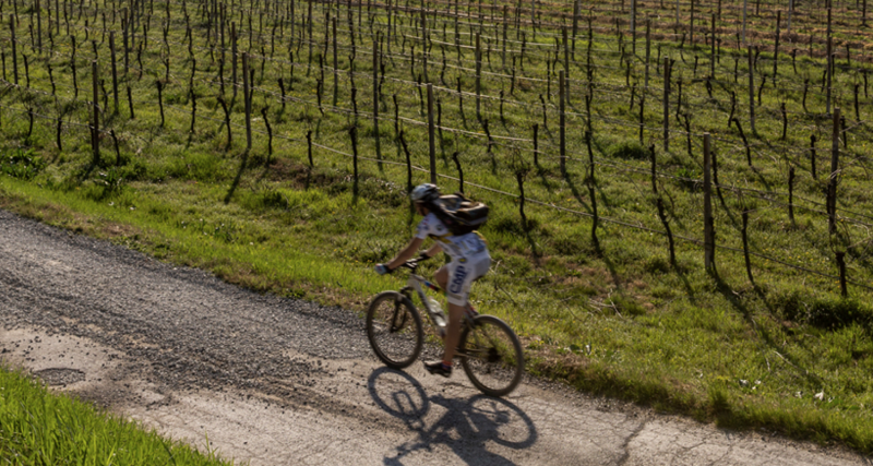 Pedalate in Bassa Romagna